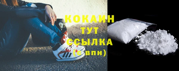 мет Касимов