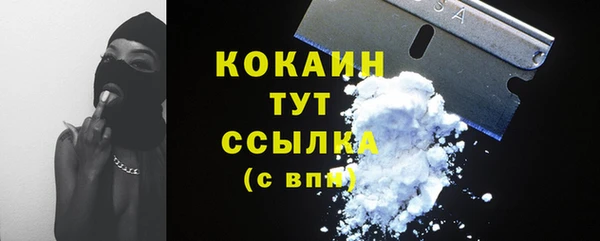дживик Карпинск