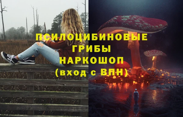 дживик Карпинск