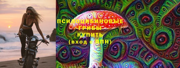 мет Касимов