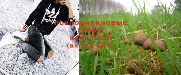 шишки Карталы