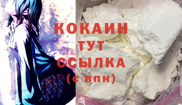 шишки Карталы
