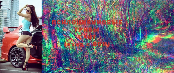 мет Касимов
