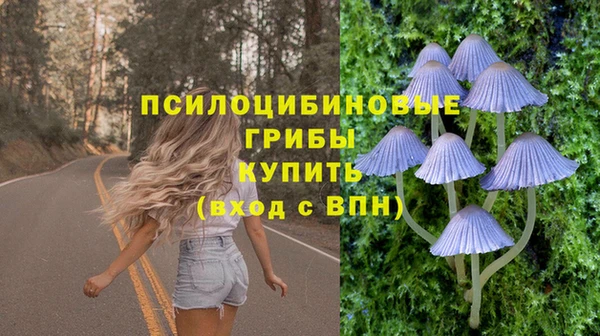 шишки Карталы